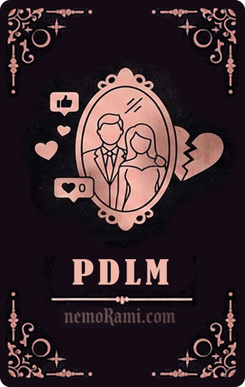 PDLM Card