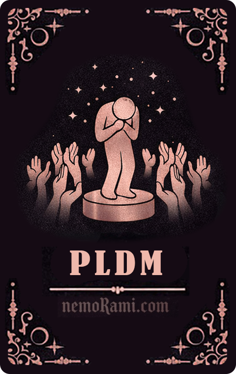 PLDM Card
